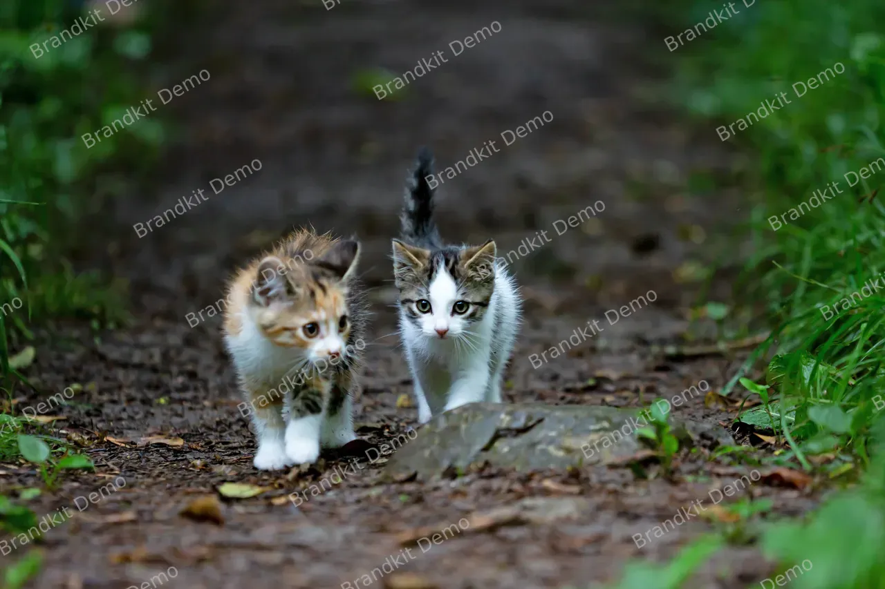 161-dorothea-oldani-hhm_fl04be8-unsplash