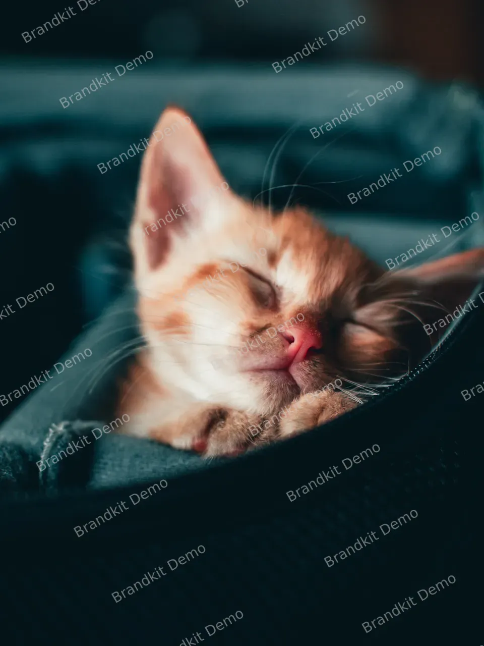 160-nishaan-ahmed-qidigmd6lw0-unsplash