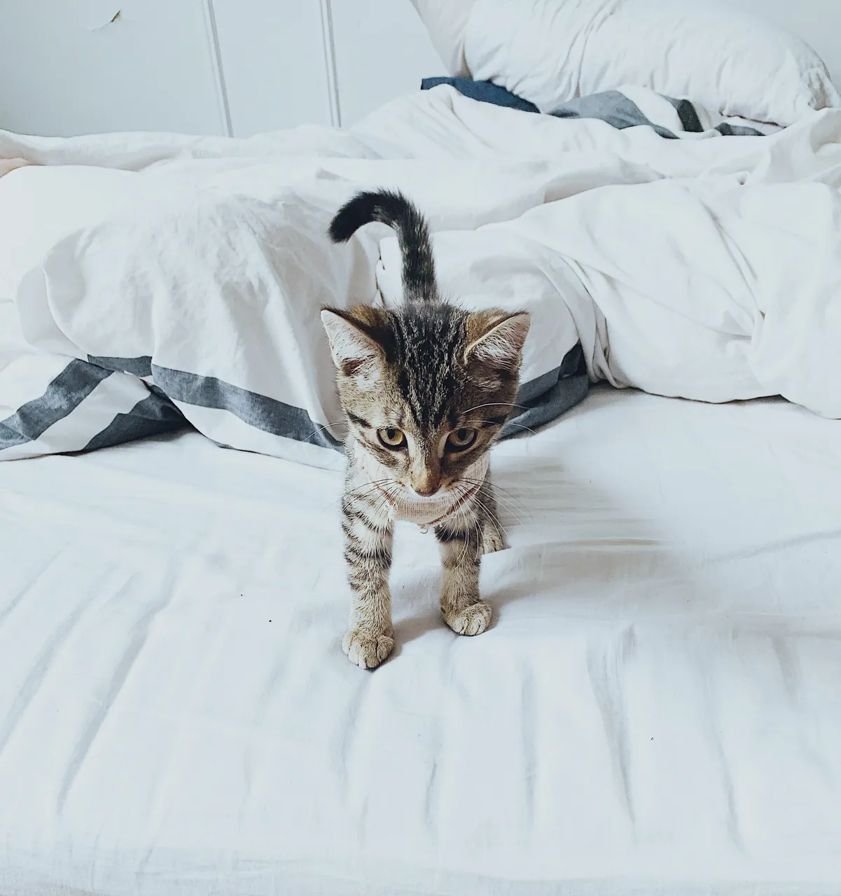 marie-michele-bouchard-9MXrPaCvDps-unsplash