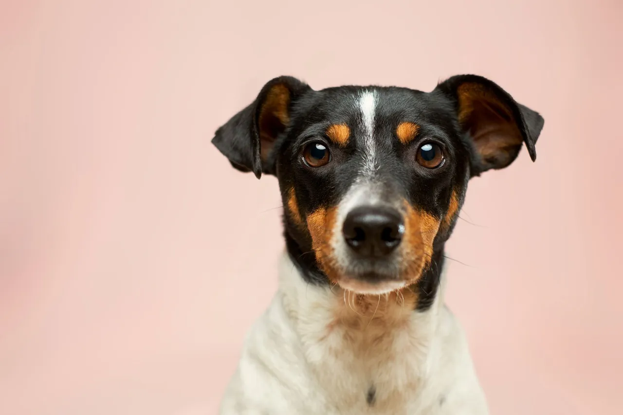 827334-victor-g-n04fifhhv_k-unsplash-web-1920px