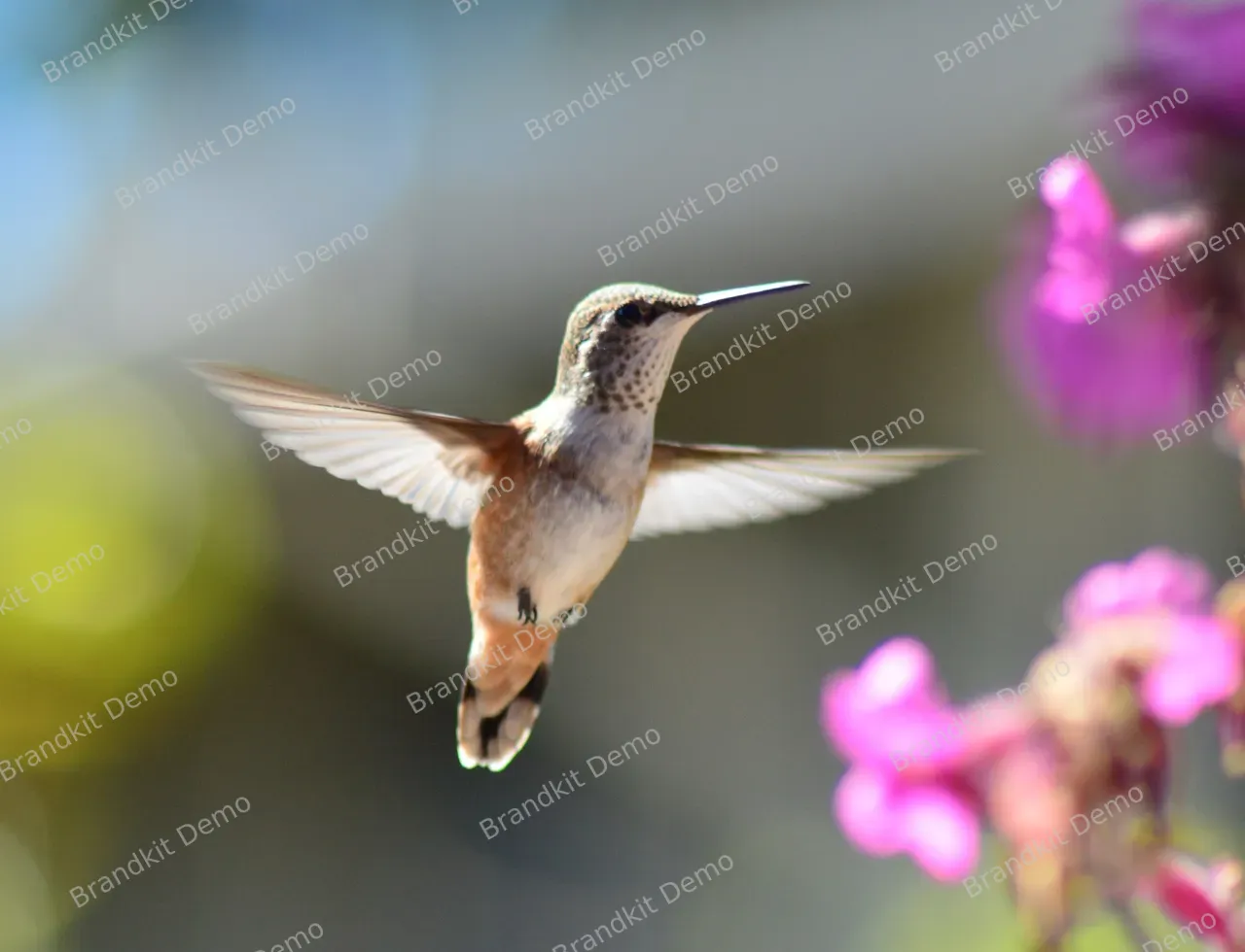 235688-bryan-hanson-nctcu1s2bos-unsplash-v2