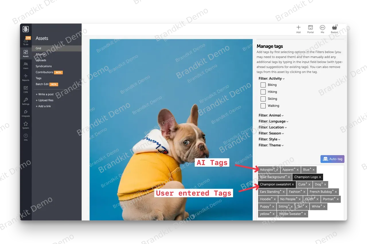bk2-ai-tags-admin-asset-view