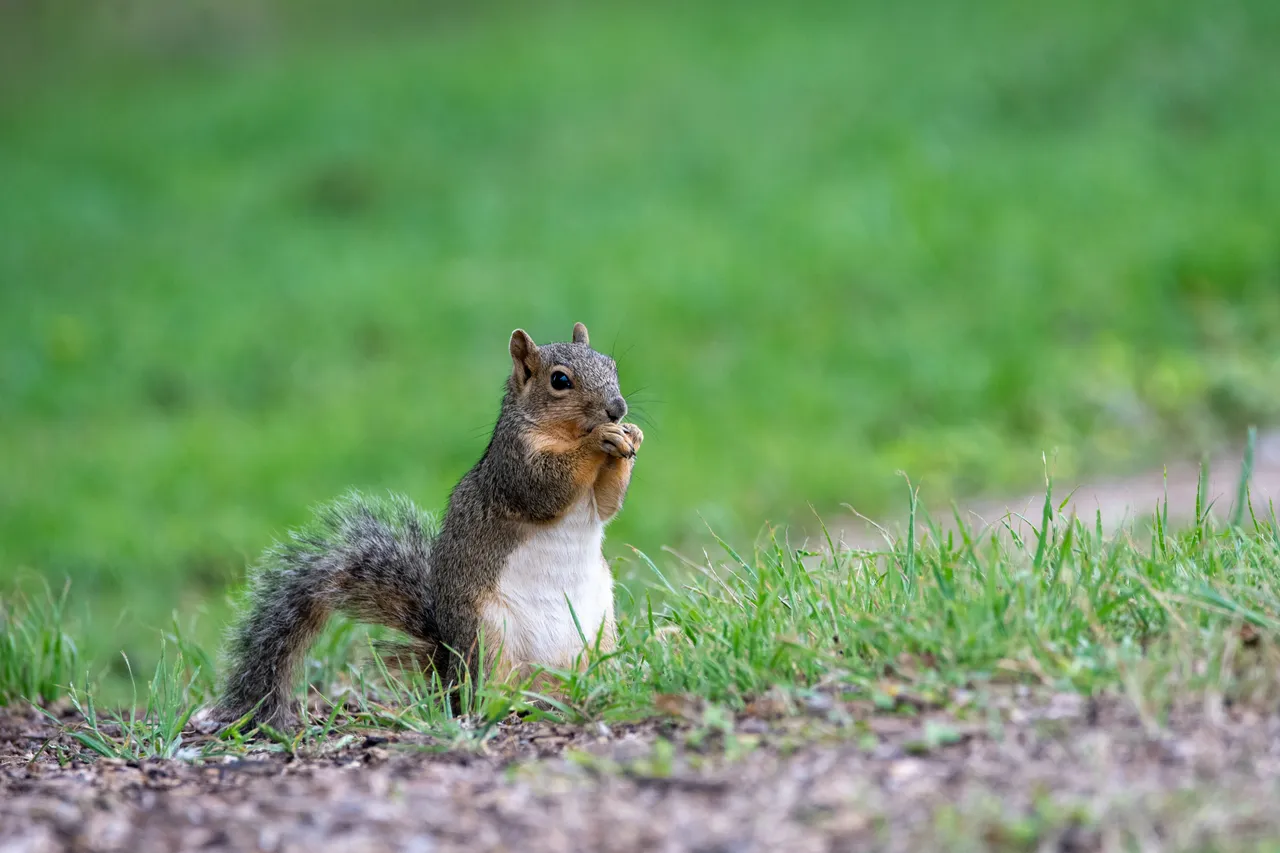 trac-vu-RrO6J3vXNzk-unsplash