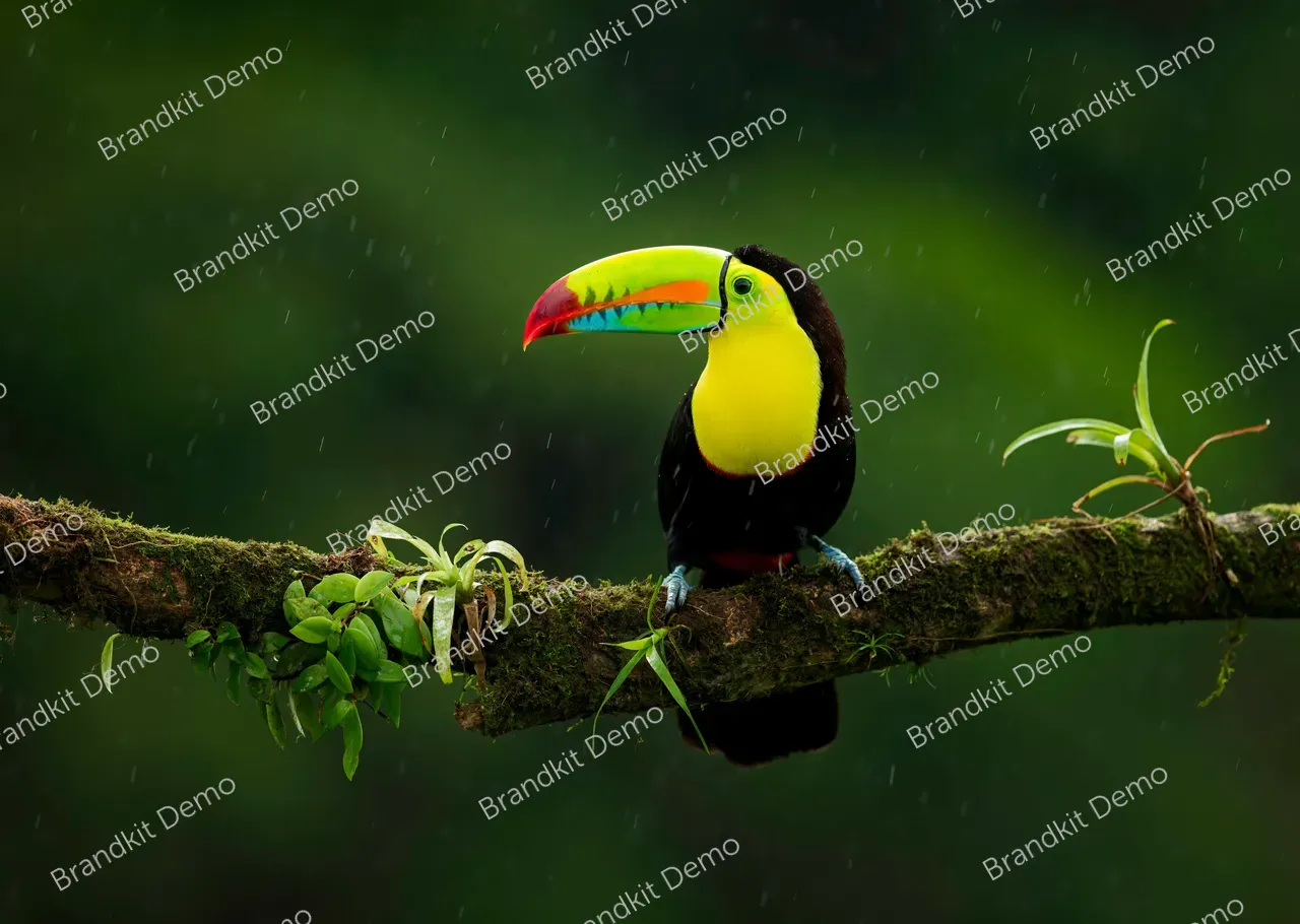 zdenek-machacek-jfWHzG7gIRw-unsplash