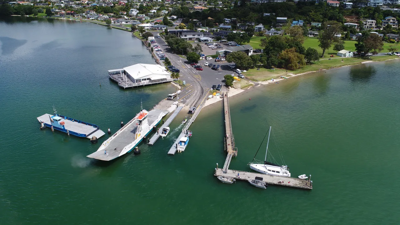 Aerial view of Omokoroa Domain