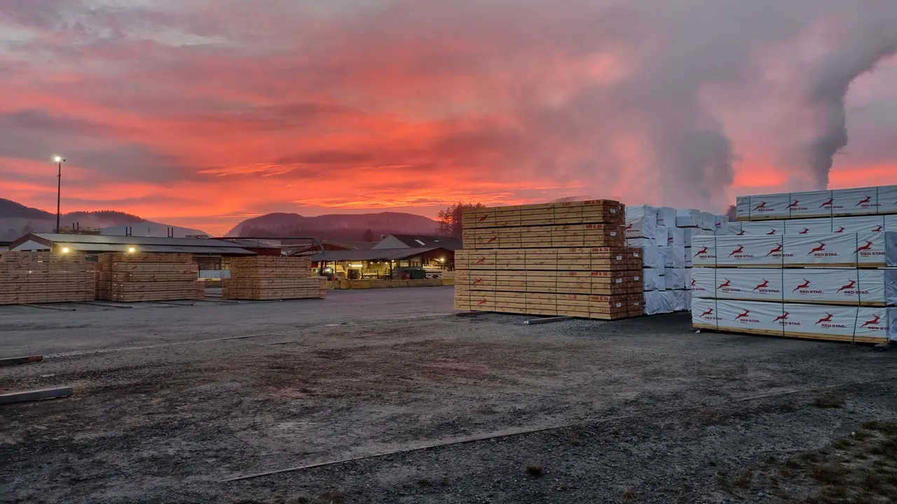 Red Stag Timber Sunrise
