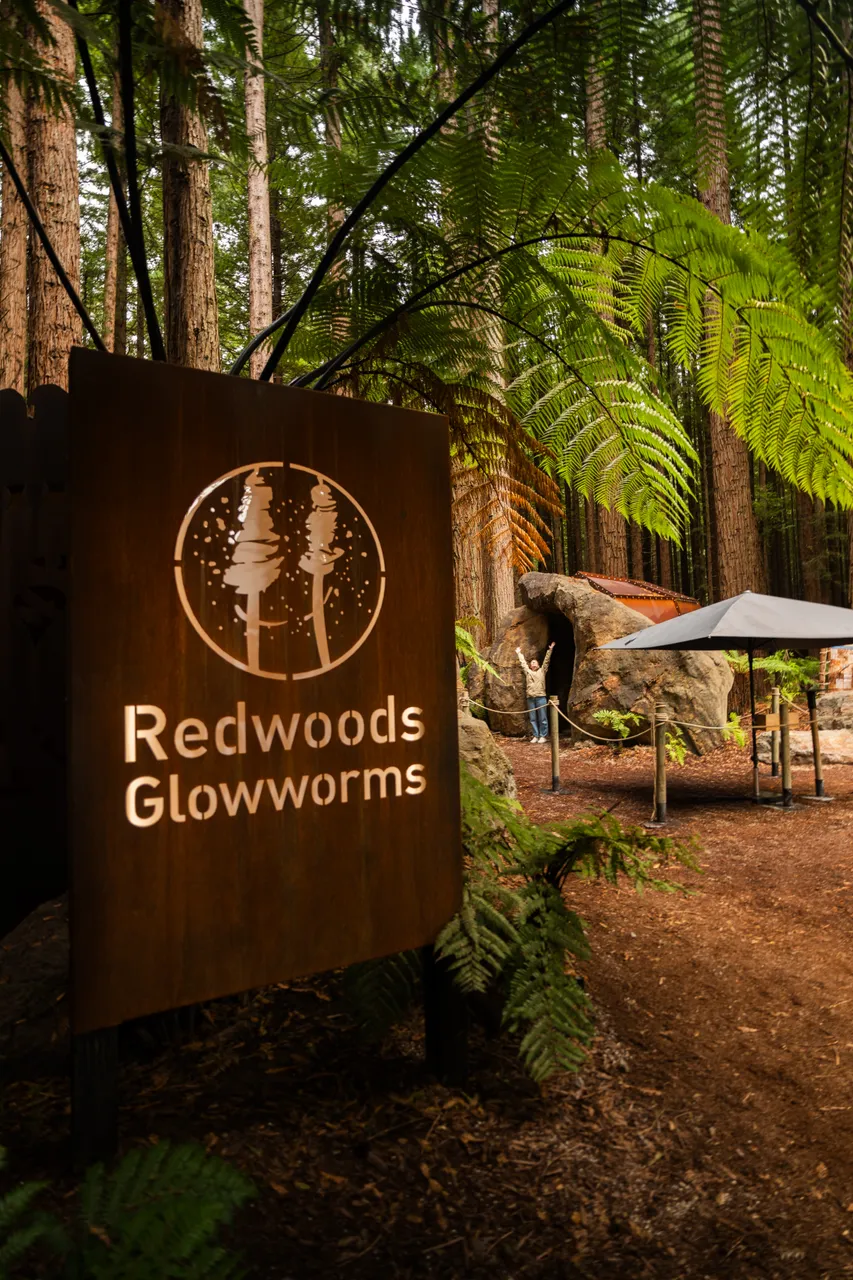 Redwoods Glowworms_Entrance
