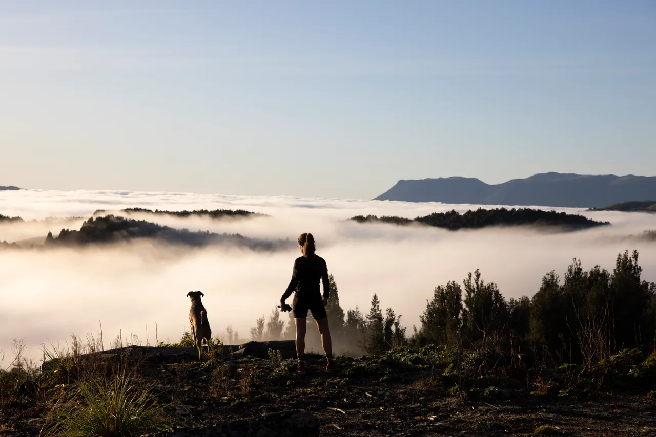 Whakarewarewa Forest trail running