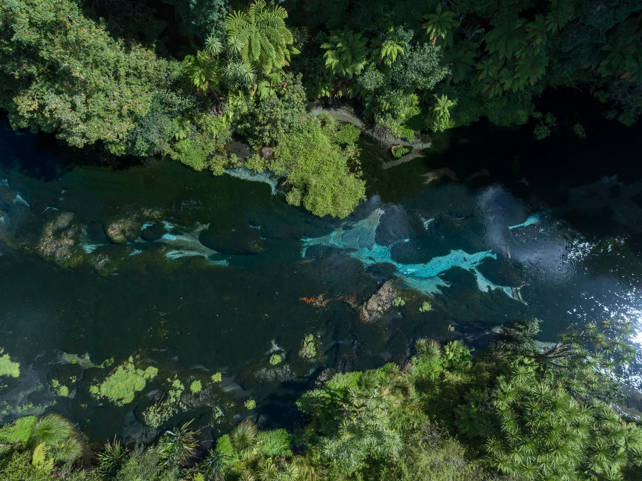 Hamurana Springs_spring from above_credit Reuben James