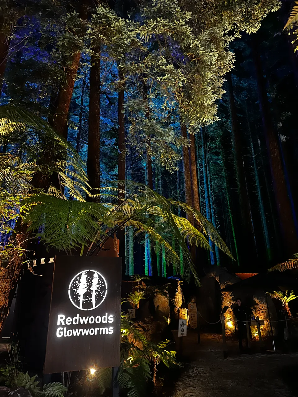Glowworm Entrance at night