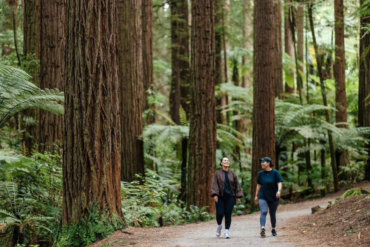 Redwoods Memorial Grove walkers