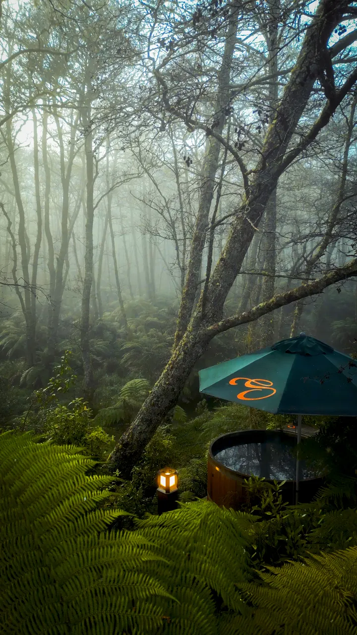 Secret Spot Hot Tubs Rotorua - Misty Morning