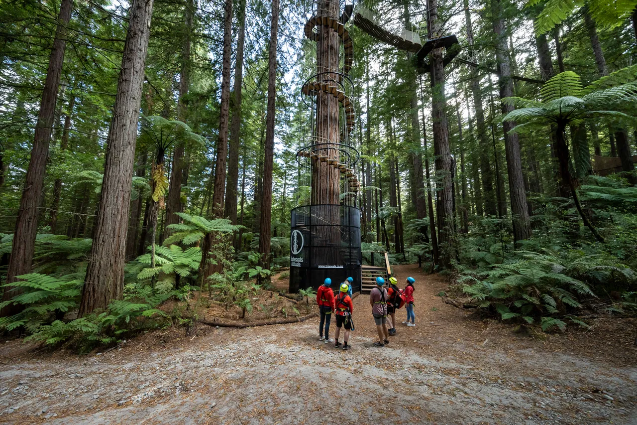 redwoods-altitude-spiral-staircase-graeme-murray