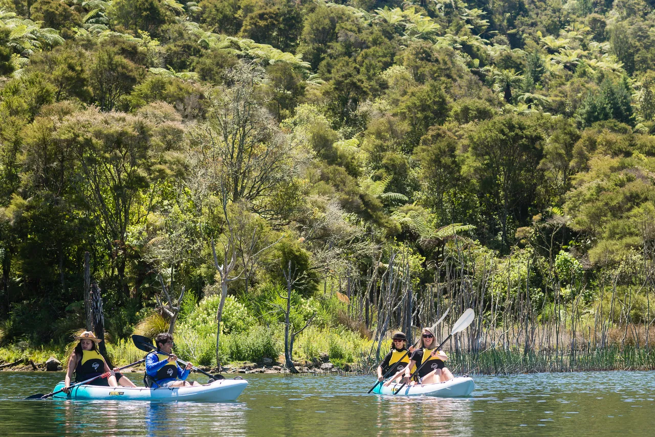 Taiao Adventures - At the start of the Steaming cliffs Kayak Tour