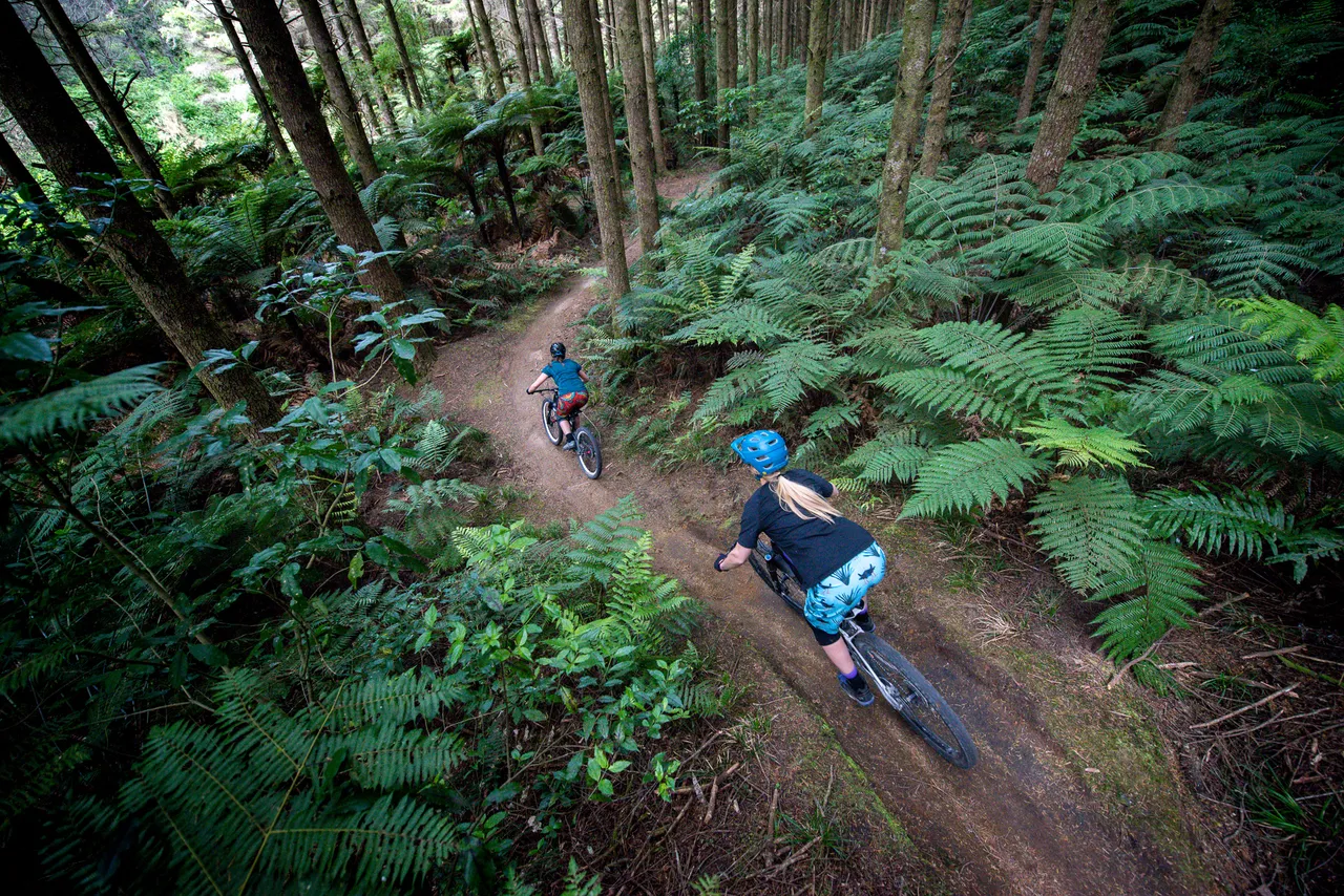 New Zealand Mountain Biking 2019 (10)