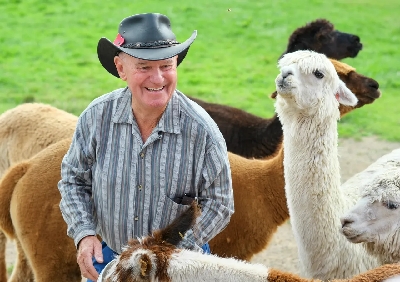 hero-heritage-farm-host-with-alpacas-llamas