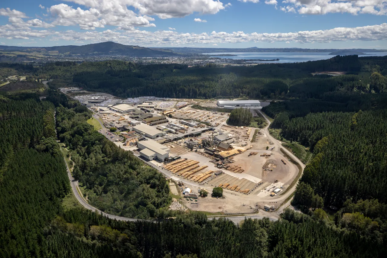 Red Stag Timber - Birds Eye View