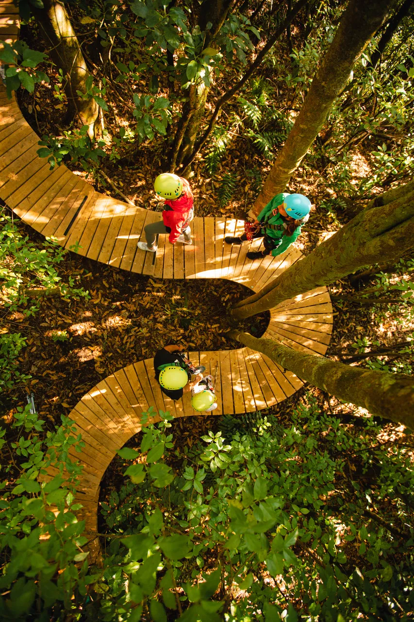 rotorua-ziplines-boardwalk-birdseye