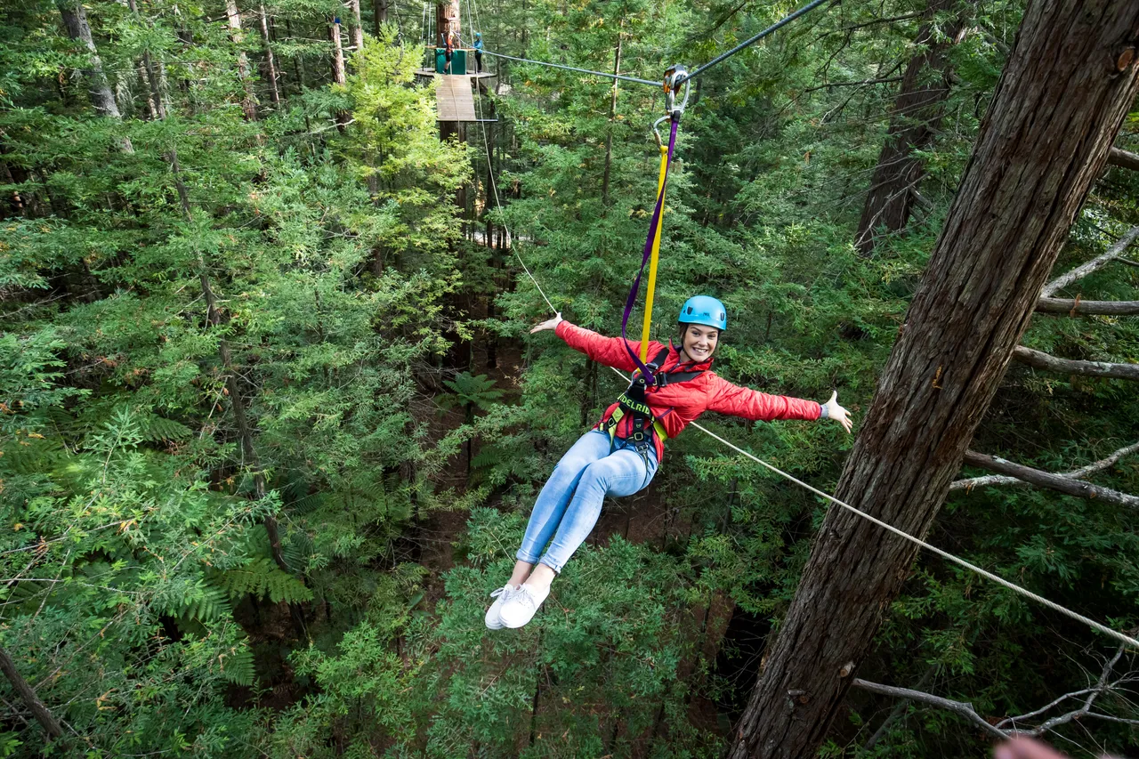 redwoods-altitude-ziplining-2-graeme-murray