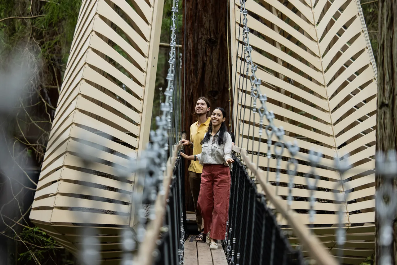 Redwoods Treewalk_Horoeka Lantern_credit Graeme Murray