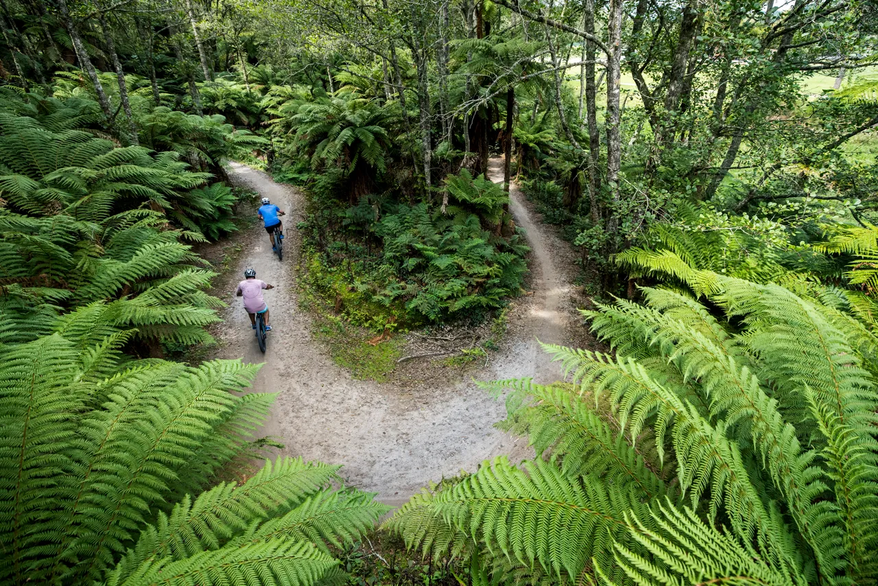 Whakarewarewa Forest Loop_Hairpin corner on Forest Loop_credit Graeme Murray