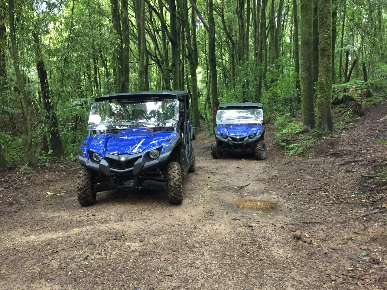 adventure-playground-4x4-buggy-tour-forest