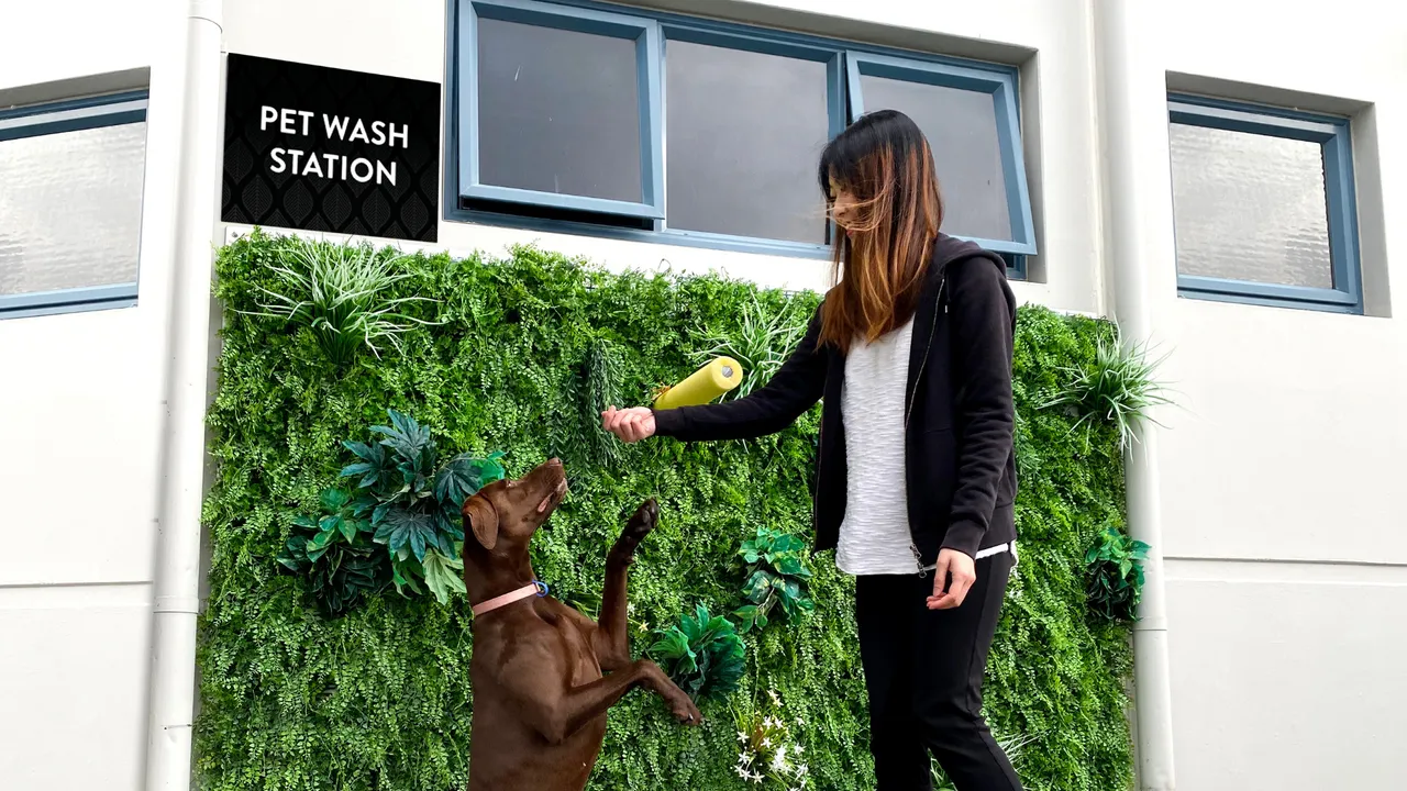 Jet Park Hotel_Pet Wash Station