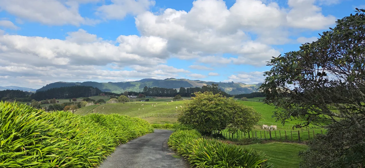 Doolan's Country Retreat - Drive Way