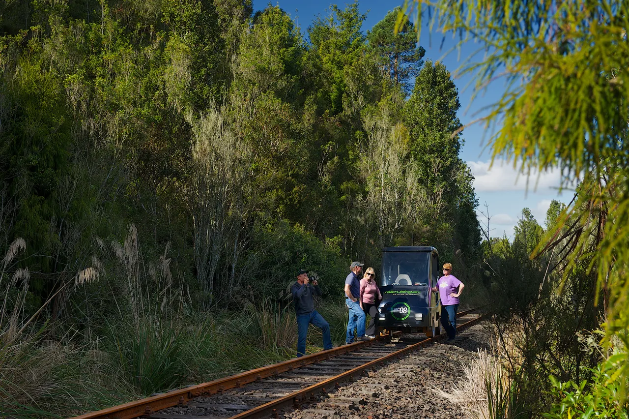 RailCruising (1)_Dansey Secenic Reserve RailCruiser Stop