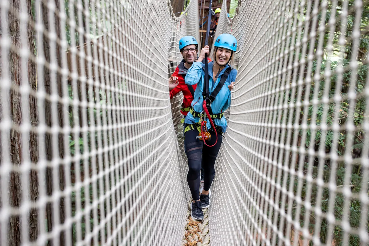 redwoods-altitude-inside-rope-net-walking-graeme-murray