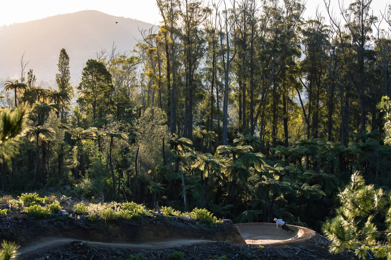 Whakarewarewa Forest mountain biking berm