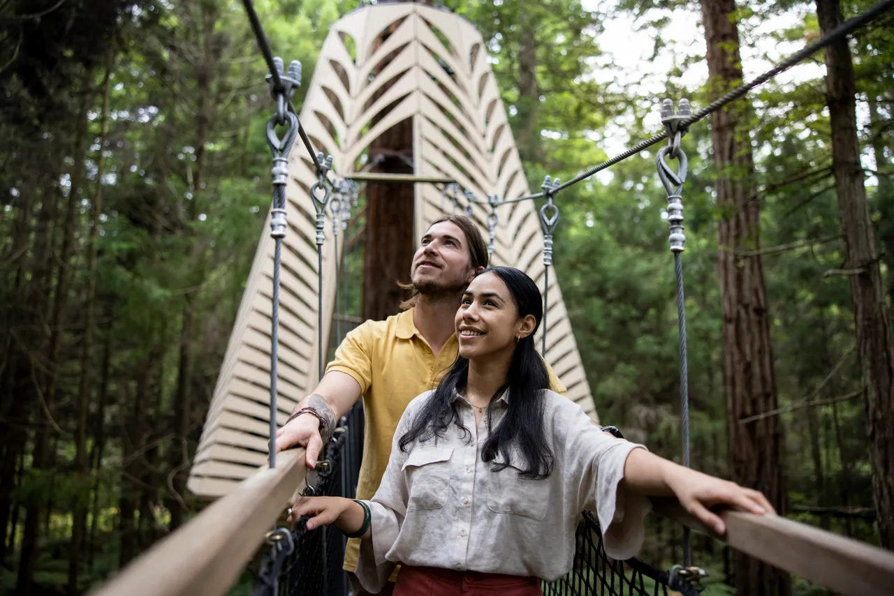 redwoods-treewalk-horoeka-lantern-graeme-murray (2)