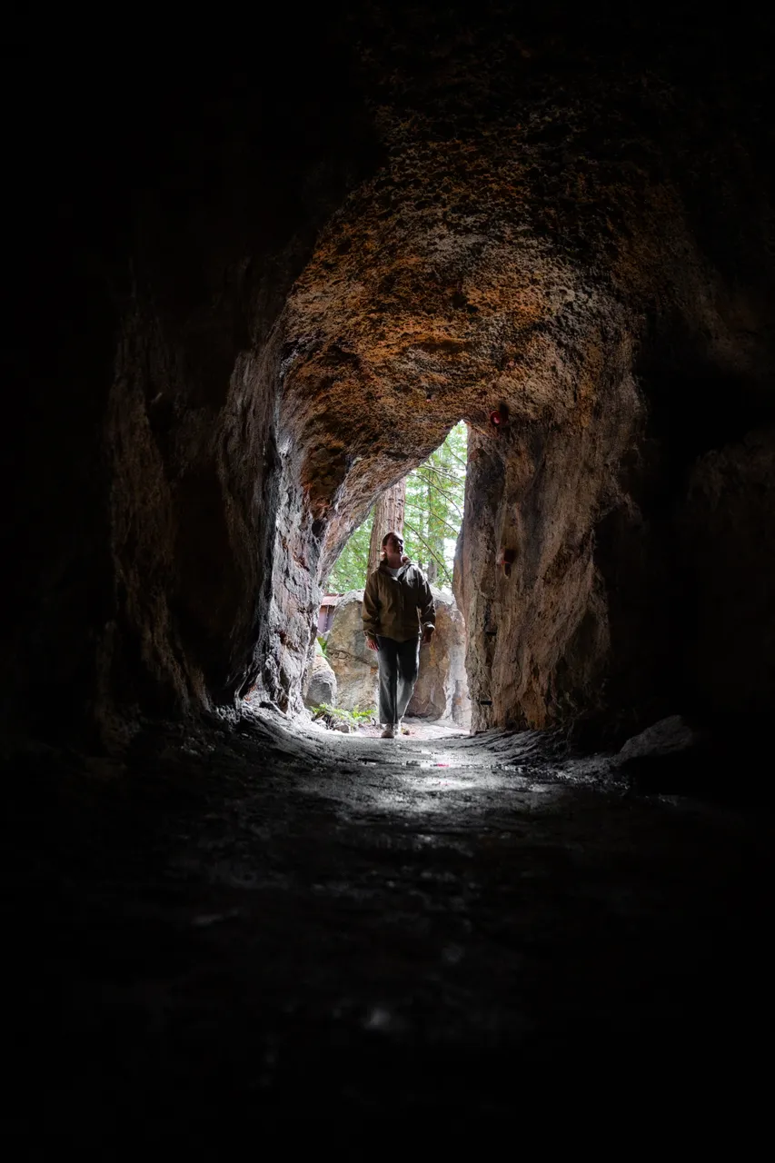 Roady x Redwoods Treewalk62