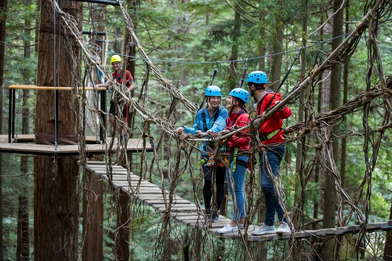 redwoods-altitude-vine-bridge-talking-graeme-murray