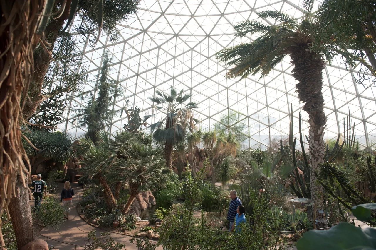 VM_Mitchell Park Horticultural Conservatory_Domes14