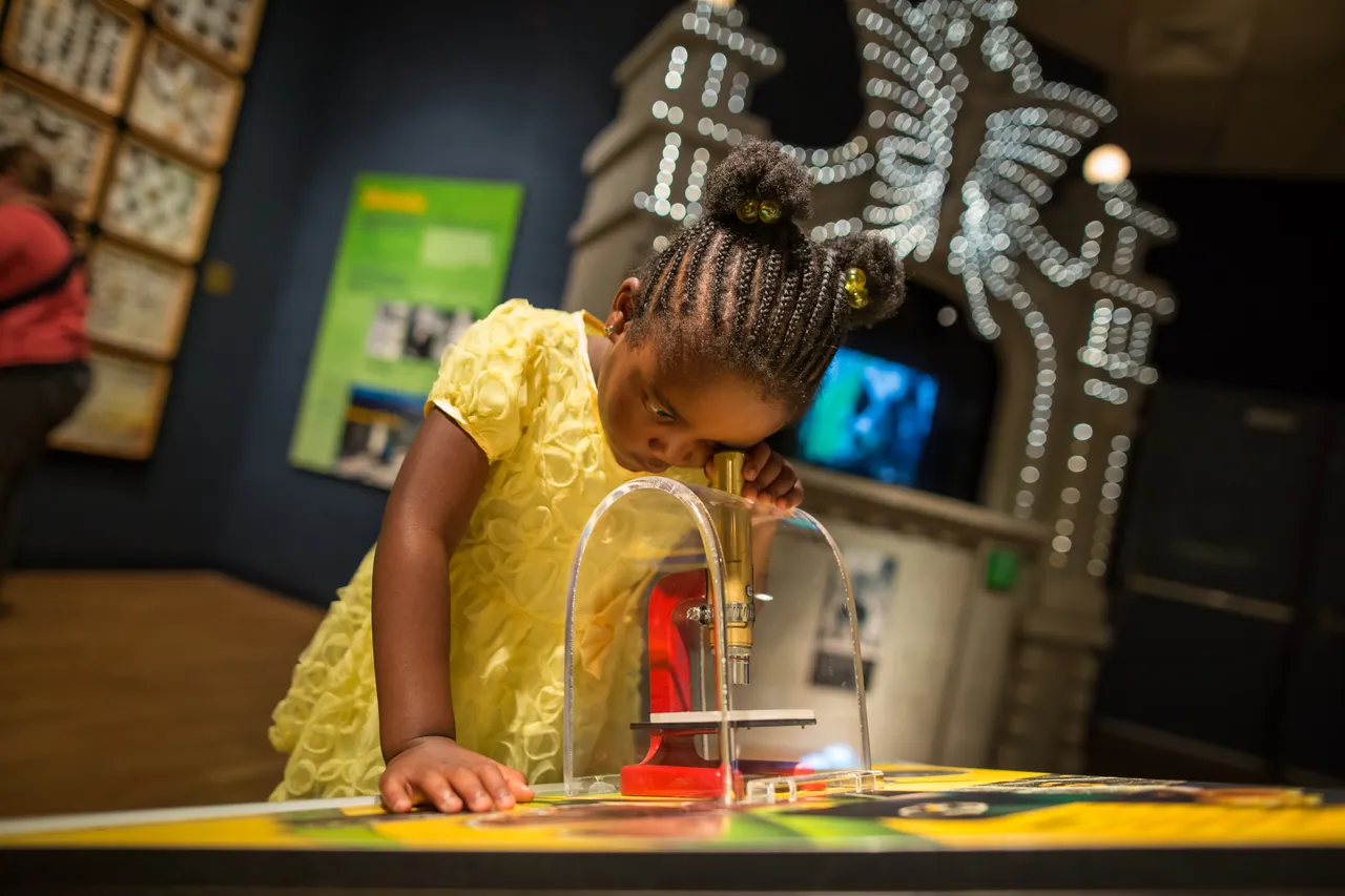 VM_PublicMuseum15_0159
