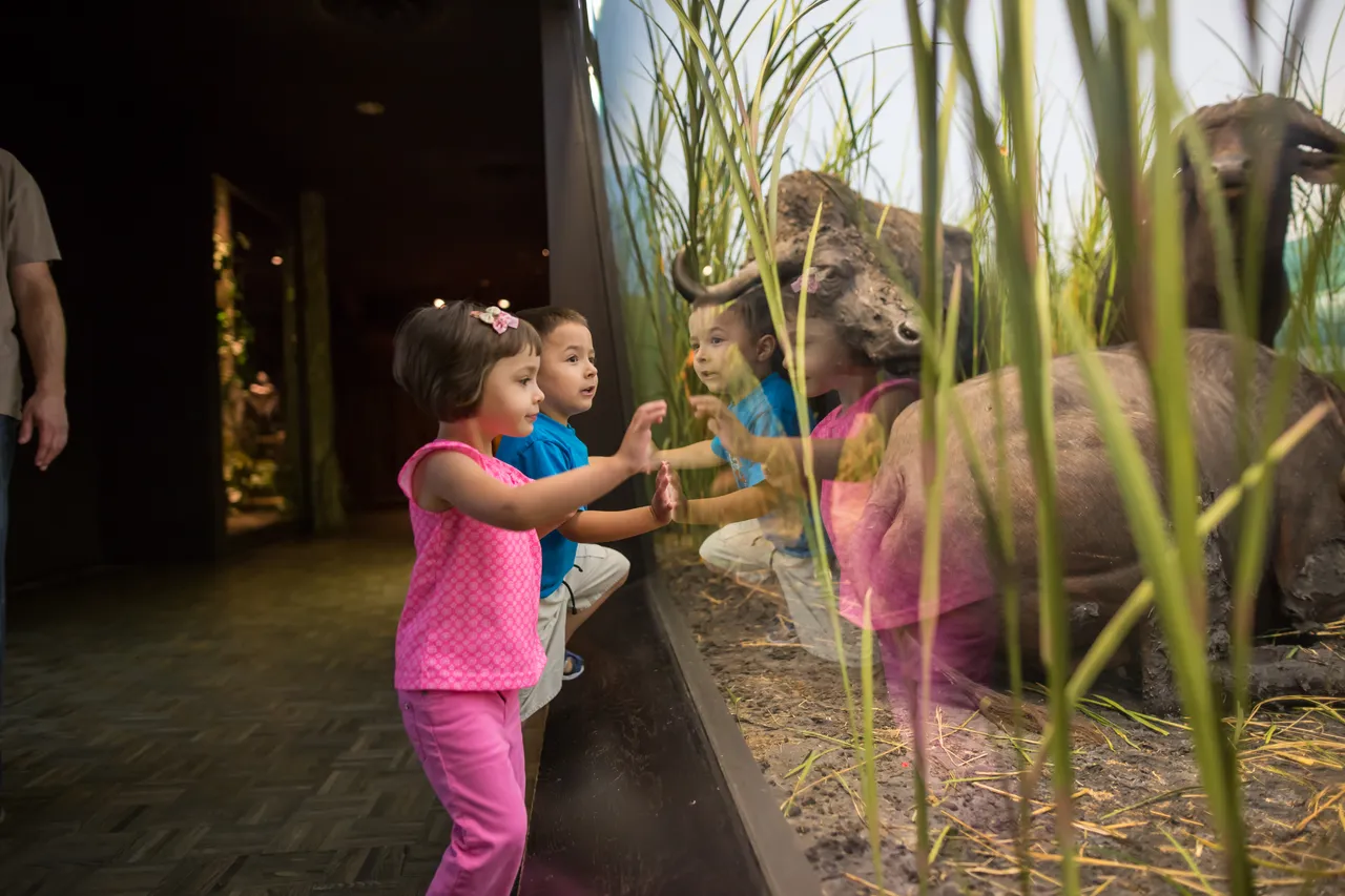 VM_PublicMuseum15_0413