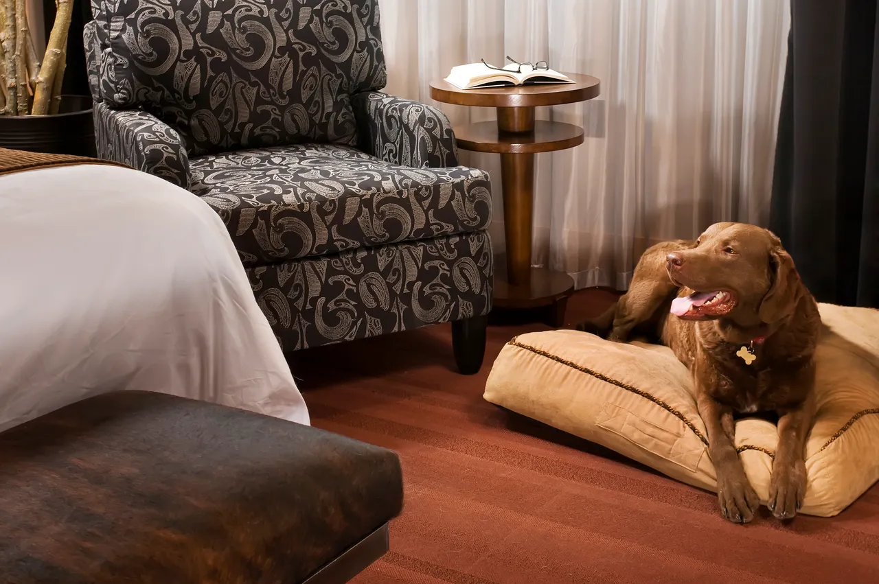 VM_IronHorse_Guestroom_Interior_HiRes_0004