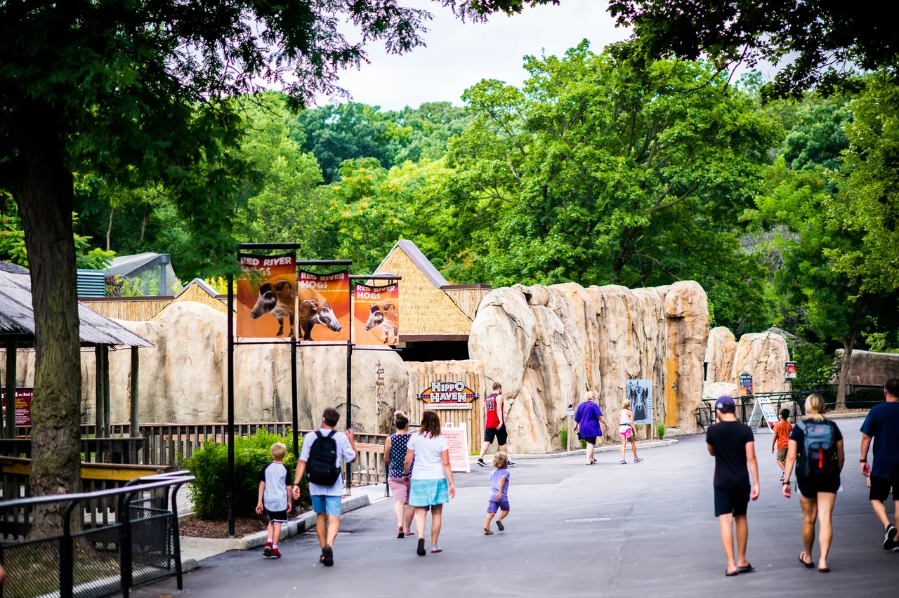 VM_Zoo_2020-50