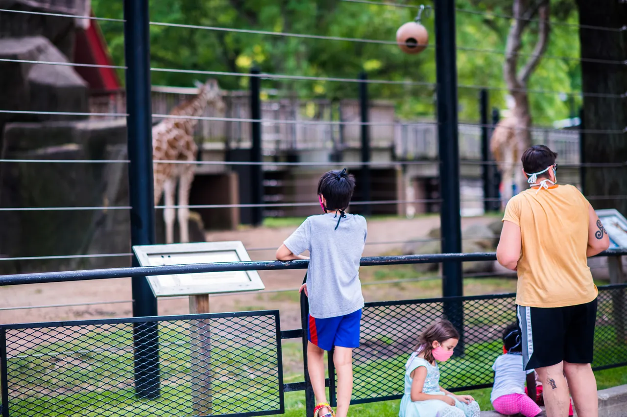 VM_Zoo_2020-48