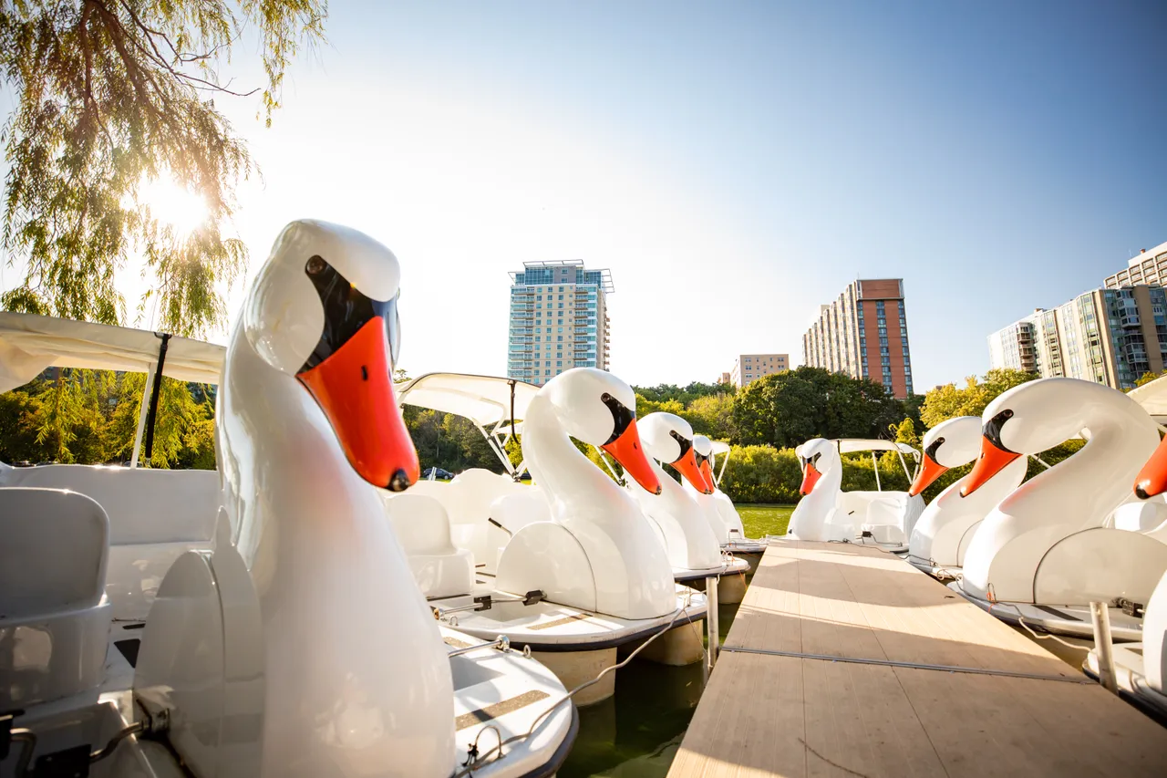 VM-Veterans Park Lagoon-Swan Boats-070