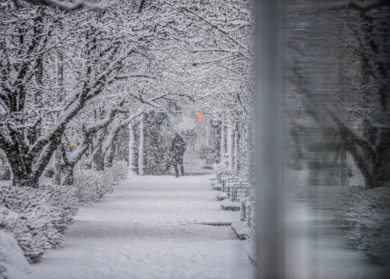 VM-Winter-AlongSideWiscoAve