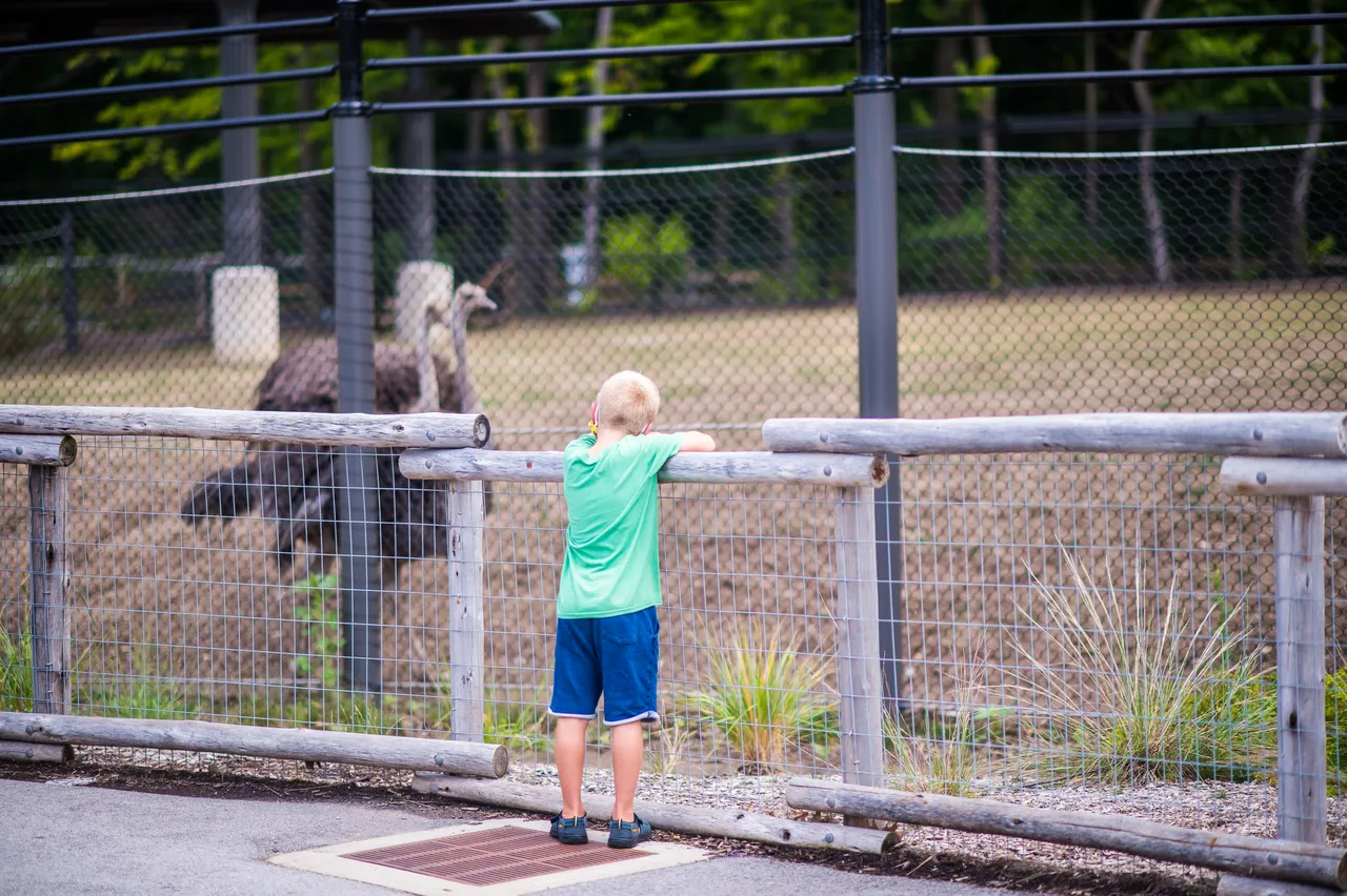 VM_Zoo_2020-15