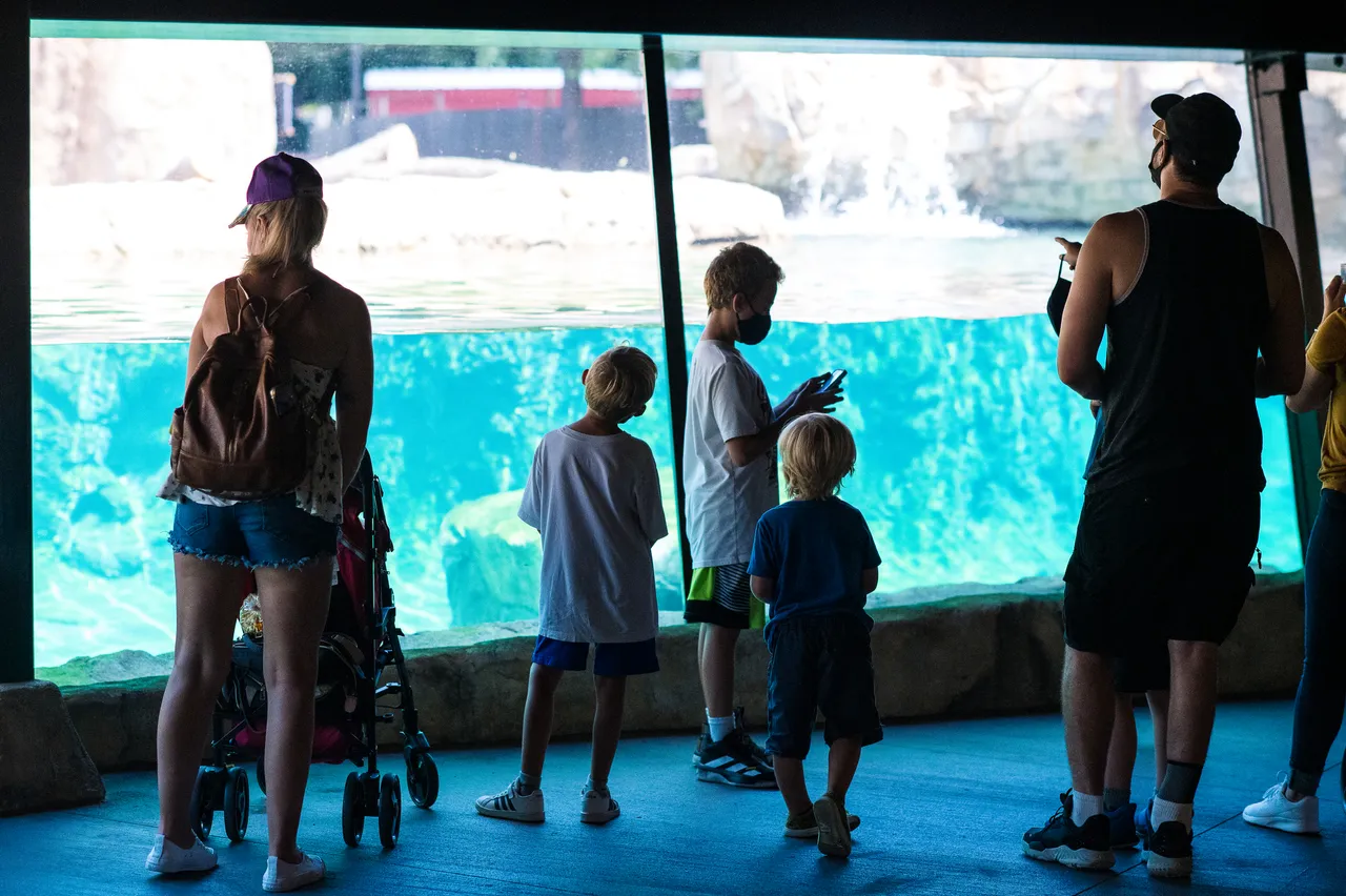 VM_Zoo_2020-3