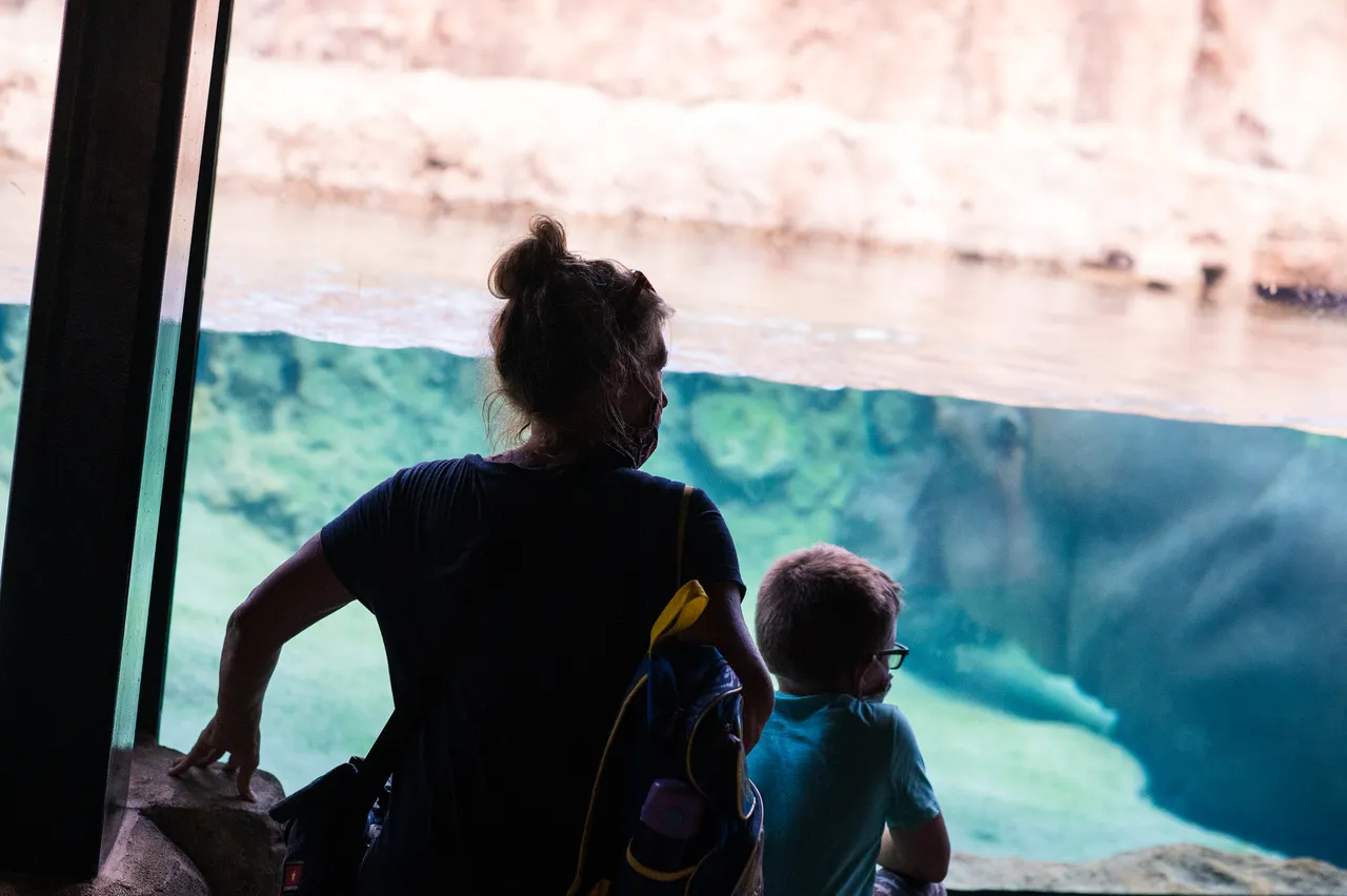 VM_Zoo_2020-6