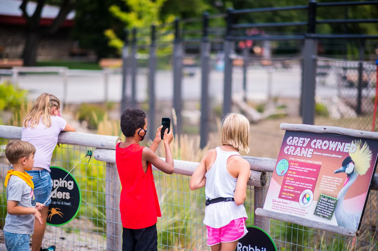 VM_Zoo_2020-14