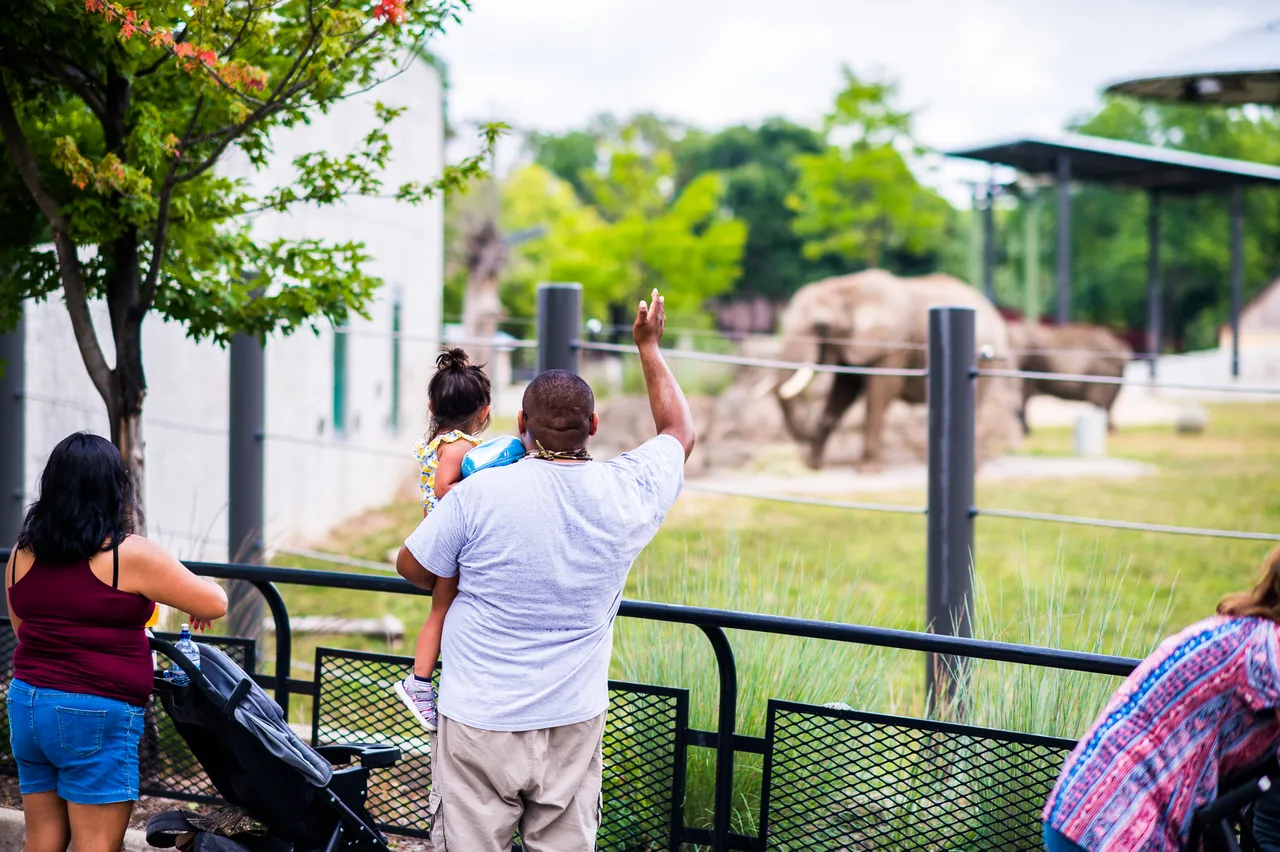 VM_Zoo_2020-33