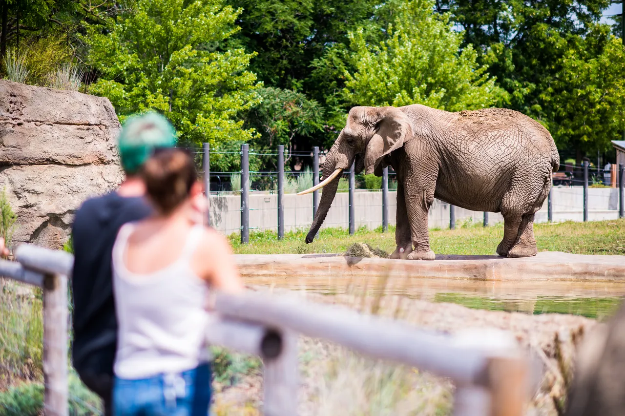 VM_Zoo_2020-40