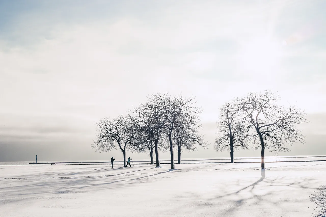 VM-Winter-Veterans Park Lakefront