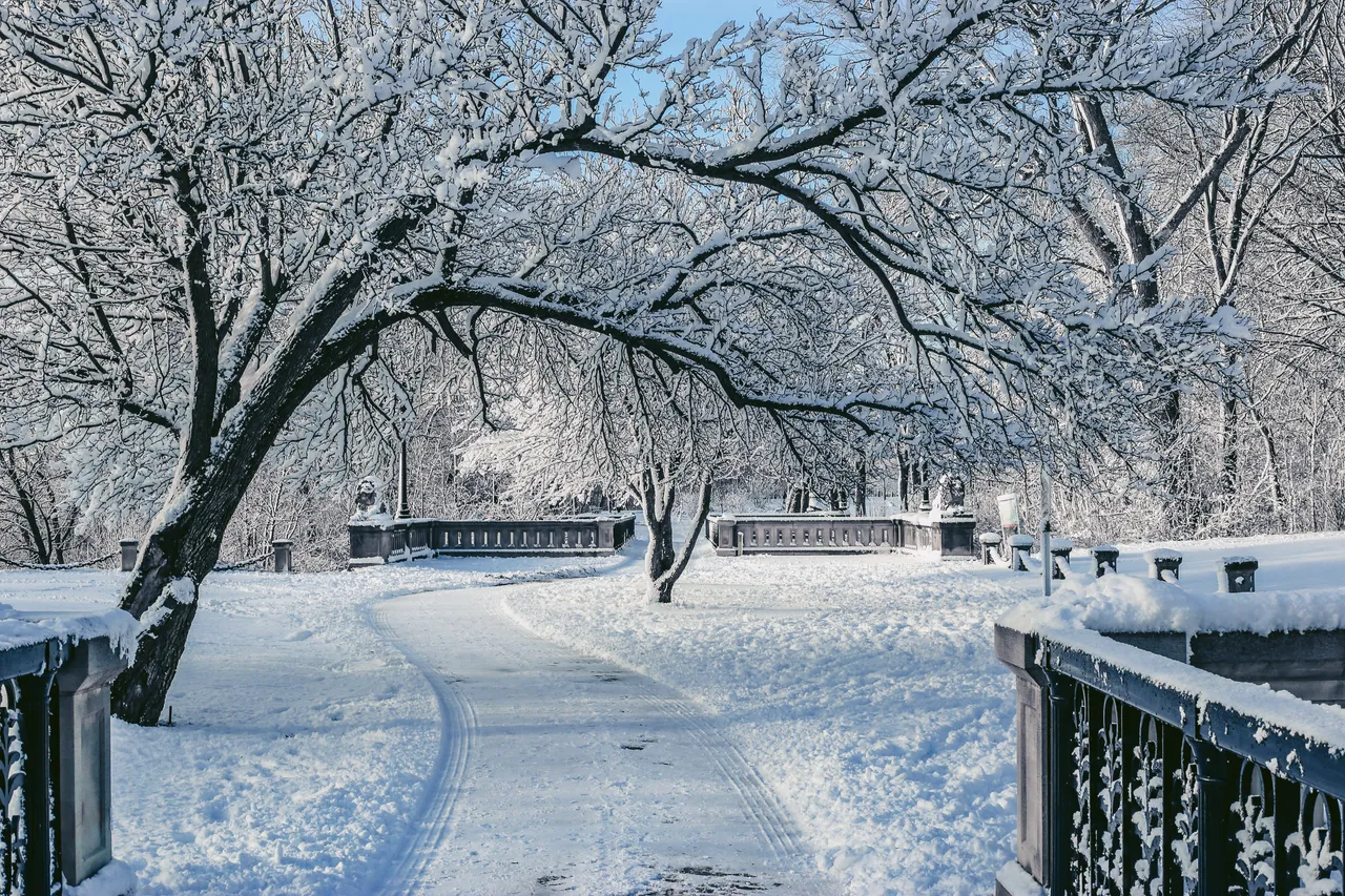 VM-Winter-LakePark